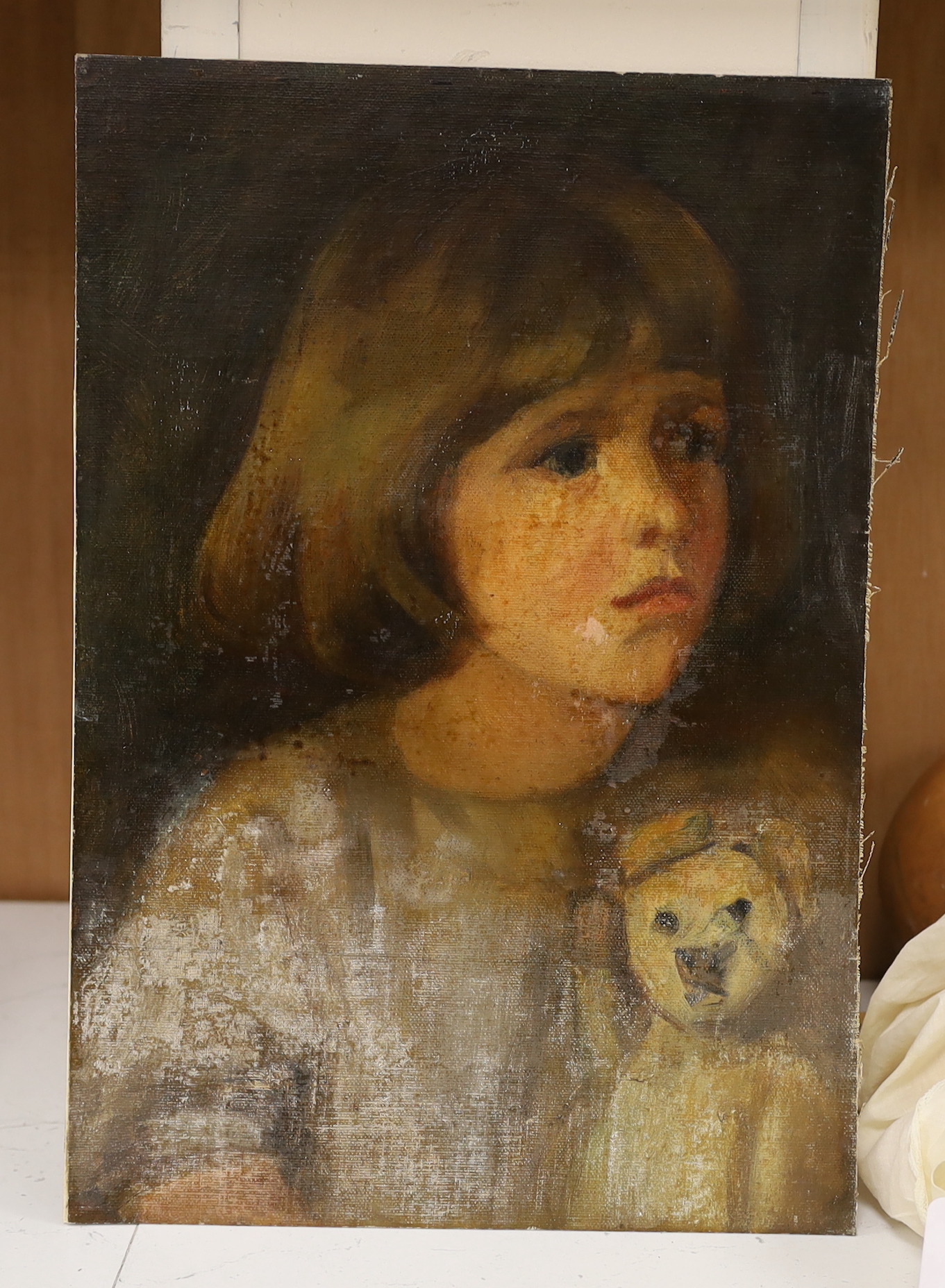 English School c.1900, oil on canvas laid on card, Portrait of a girl with her teddy bear, 37 x 26cm, unframed